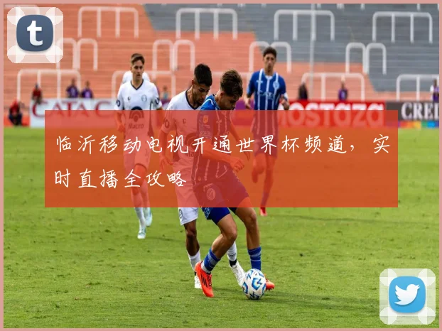 临沂移动电视开通世界杯频道，实时直播全攻略