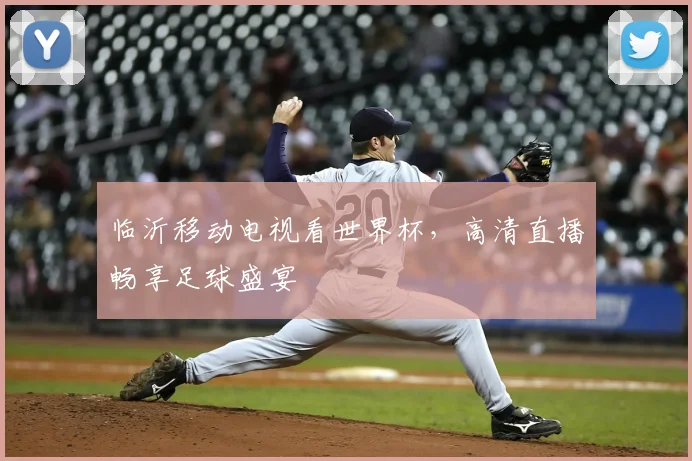临沂移动电视看世界杯，高清直播畅享足球盛宴