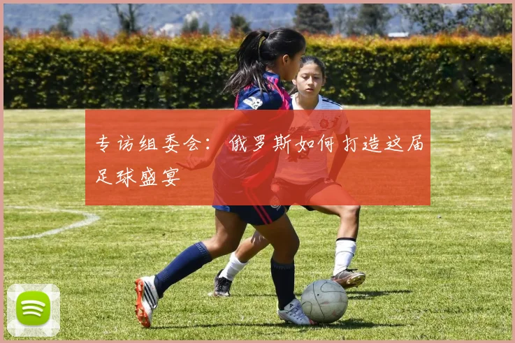 专访组委会：俄罗斯如何打造这届足球盛宴