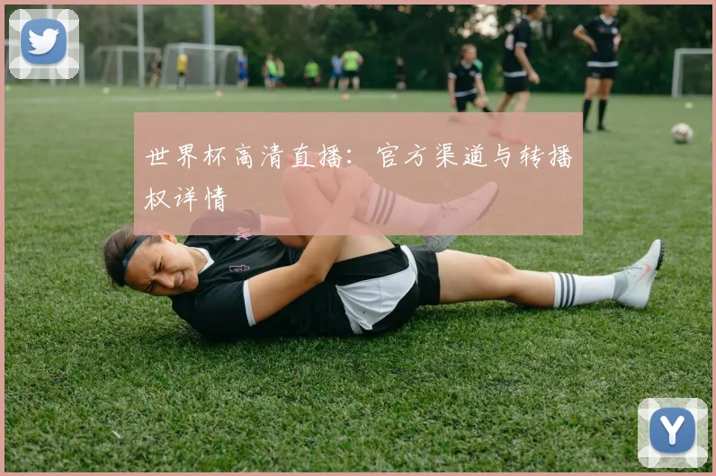 世界杯高清直播：官方渠道与转播权详情