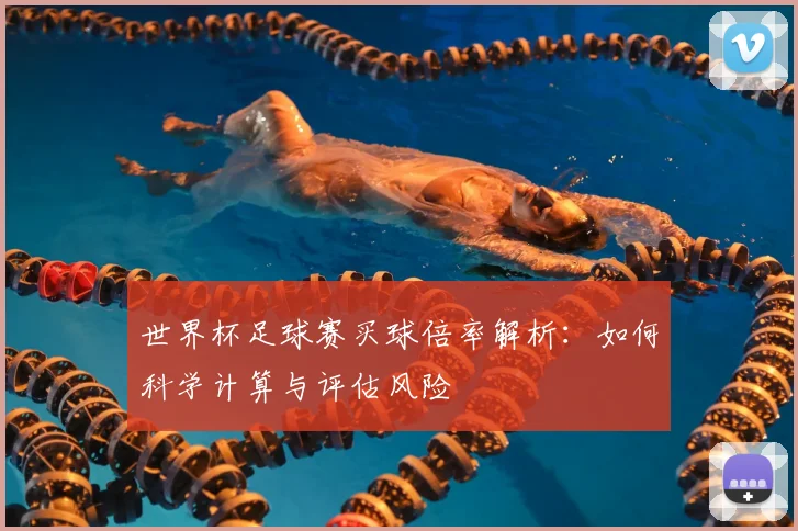世界杯足球赛买球倍率解析：如何科学计算与评估风险
