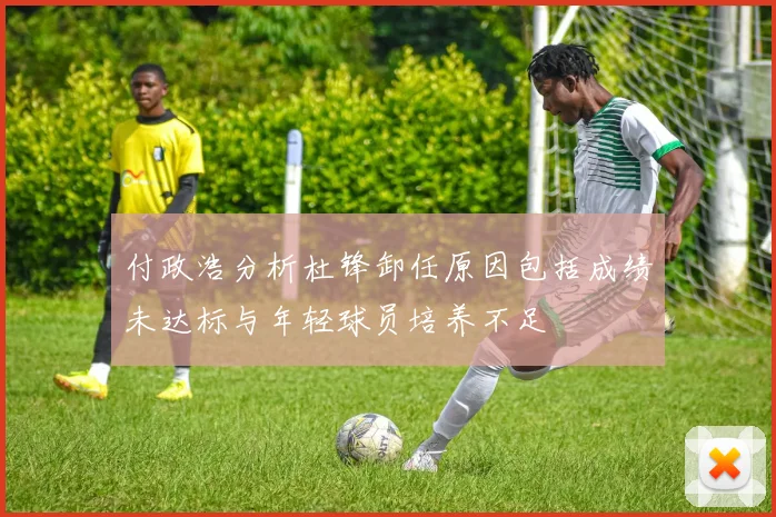 付政浩分析杜锋卸任原因包括成绩未达标与年轻球员培养不足